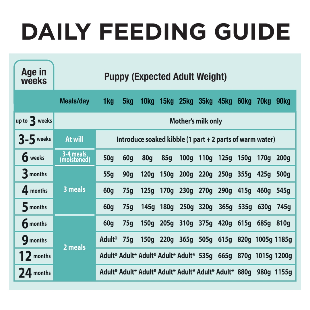 Simply nourish puppy food feeding outlet chart